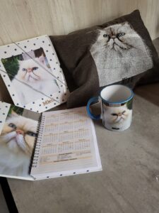 WhatsApp Image 2025-06-15 at 12.31.46 (1)